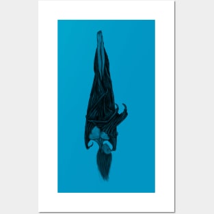 Sleeping Bat Posters and Art